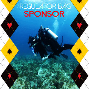 Regulator Bag Sponsor