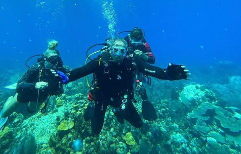 DPF-IMG_0572photo-485×310