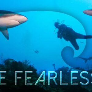 DP-LiveFearlessly-resize