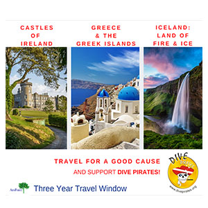 DPF Amfund Aug Auction