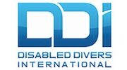 DPF DDI 200x100