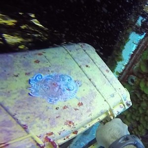 DPF German Geocachers