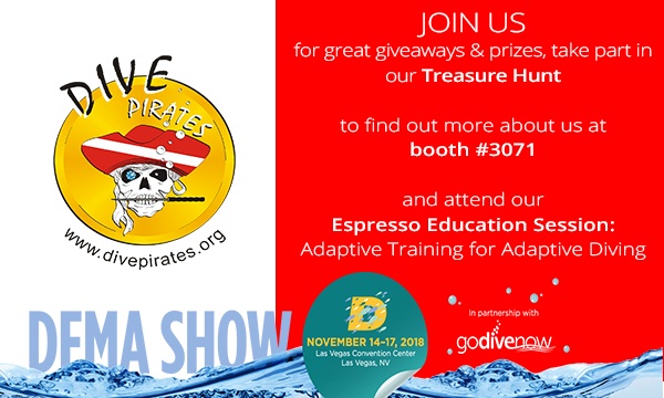 DEMASHOW 2018 Graphic