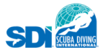 Scuba Diving International logo