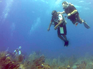 Twisted Sisters Stace and Wu underwater